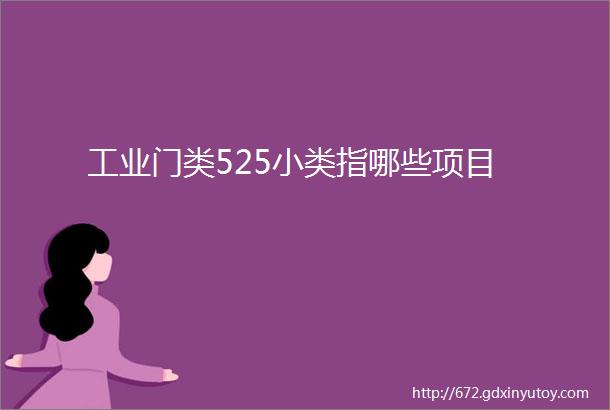 工业门类525小类指哪些项目