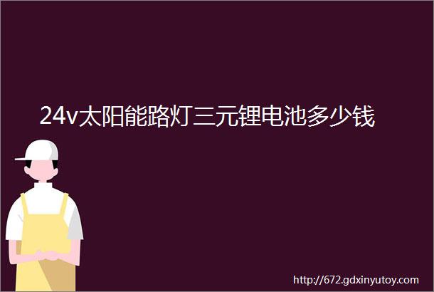 24v太阳能路灯三元锂电池多少钱