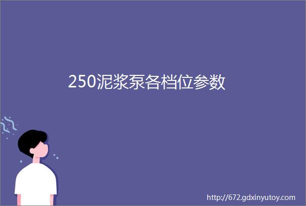 250泥浆泵各档位参数