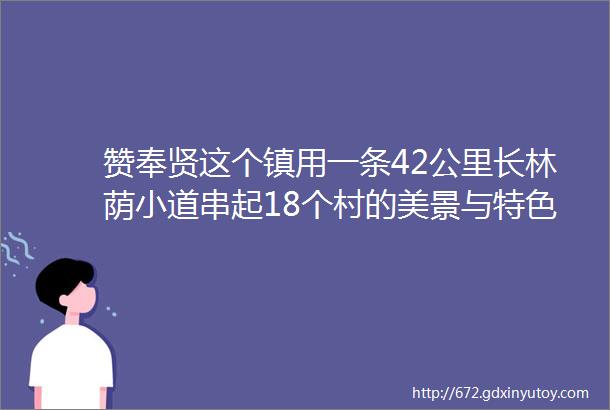 赞奉贤这个镇用一条42公里长林荫小道串起18个村的美景与特色