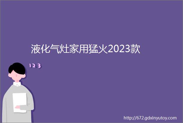 液化气灶家用猛火2023款