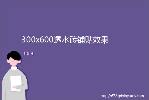 300x600透水砖铺贴效果