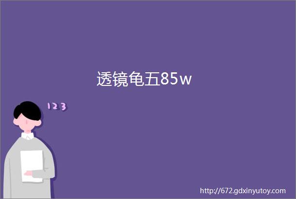 透镜龟五85w