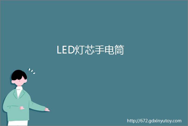 LED灯芯手电筒