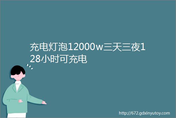 充电灯泡12000w三天三夜128小时可充电